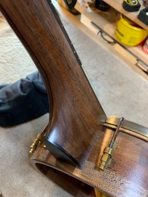 Hand-rubbed Tru-Oil finish on walnut neck & rim