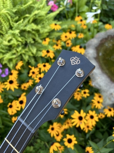 Geometric Bee (brass)