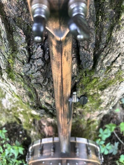 Ebonized finish on Cherry neck